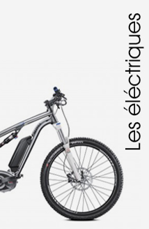 vélos électriques ecovélo 17