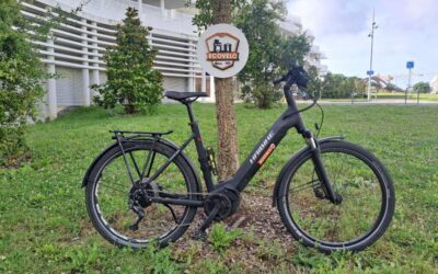 VAE Haibike Trekking Low 6
