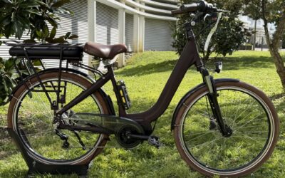 Vélo Électrique ARCADE Vitality